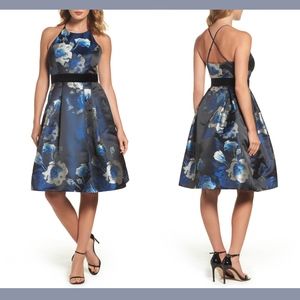 NWT $208 Eliza J Floral Jacquard Fit & Flare Dress‎ in Blues [SZ 10 ]